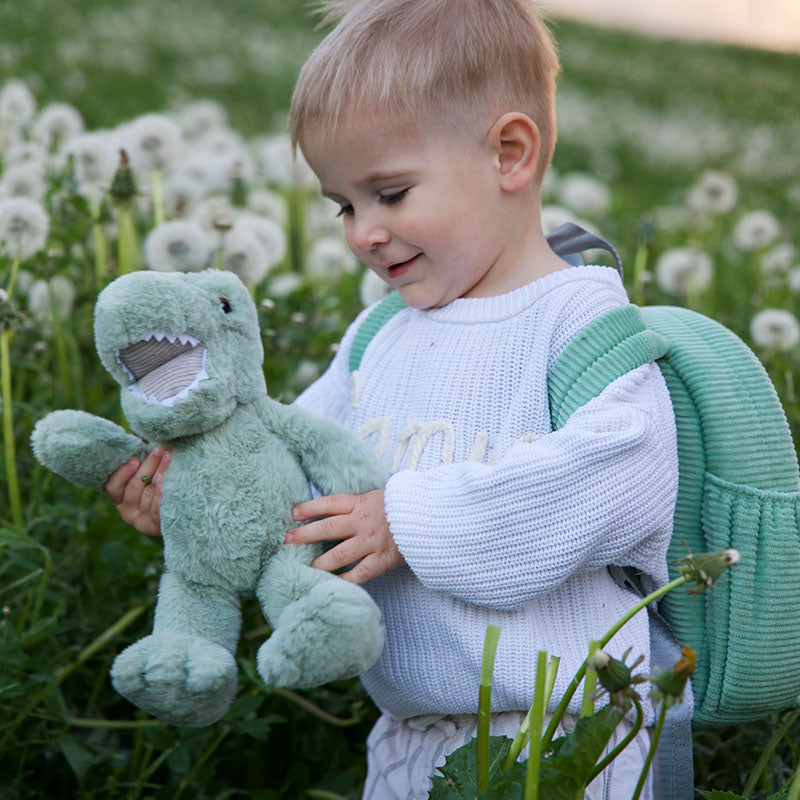 Rexie der Dinosaurier
